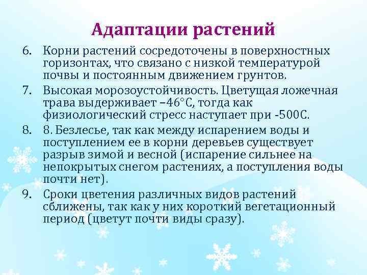 Адаптации растений 6. Корни растений сосредоточены в поверхностных горизонтах, что связано с низкой температурой