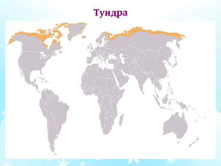 Тундра 