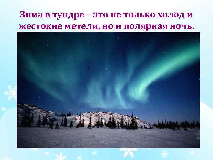 Зима в тундре – это не только холод и жестокие метели, но и полярная