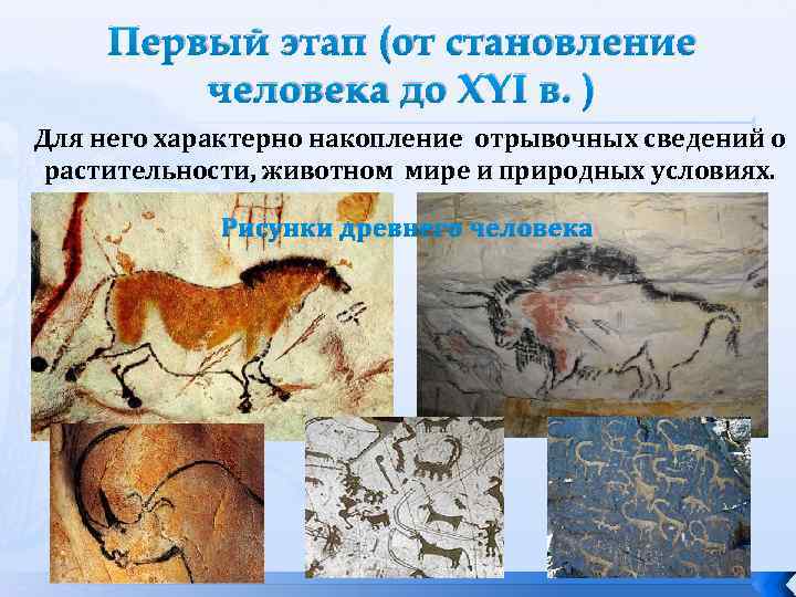 Первый этап (от становление человека до ХYI в. ) Для него характерно накопление отрывочных