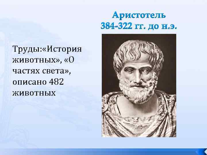 Аристотель 384 -322 гг. до н. э. Труды: «История животных» , «О частях света»
