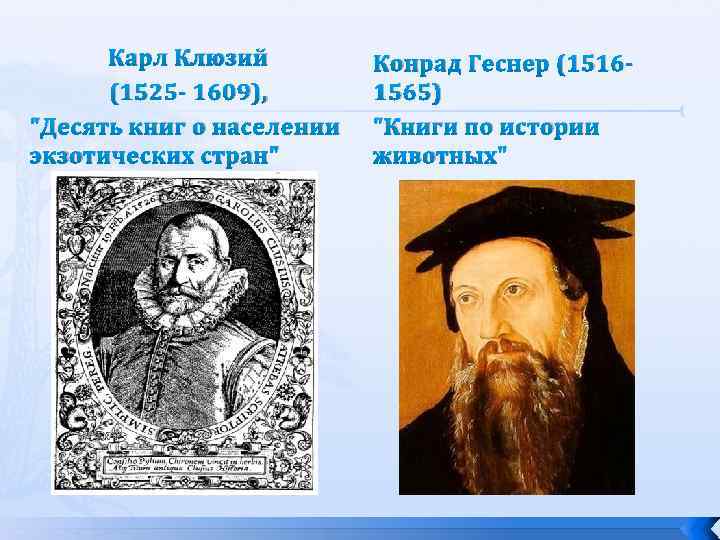 Карл Клюзий (1525 - 1609), "Десять книг о населении экзотических стран" Конрад Геснер (15161565)