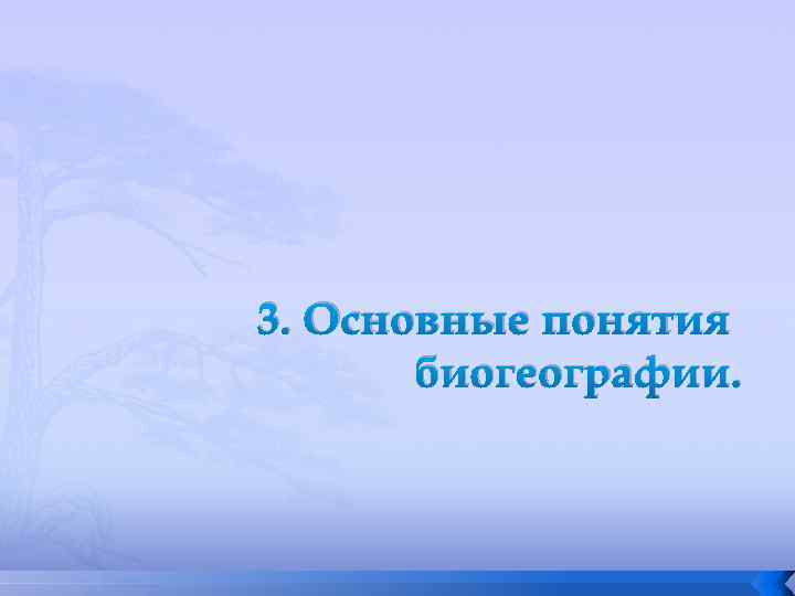 3. Основные понятия биогеографии. 