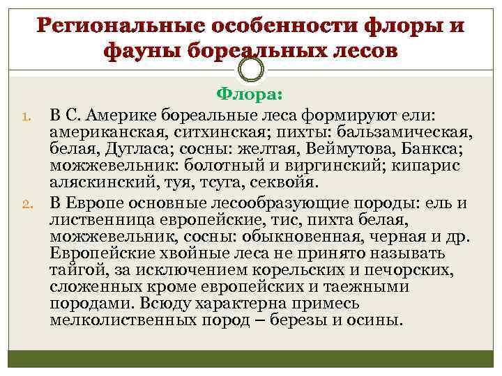 Региональные особенности флоры и фауны бореальных лесов Флора: 1. В С. Америке бореальные леса