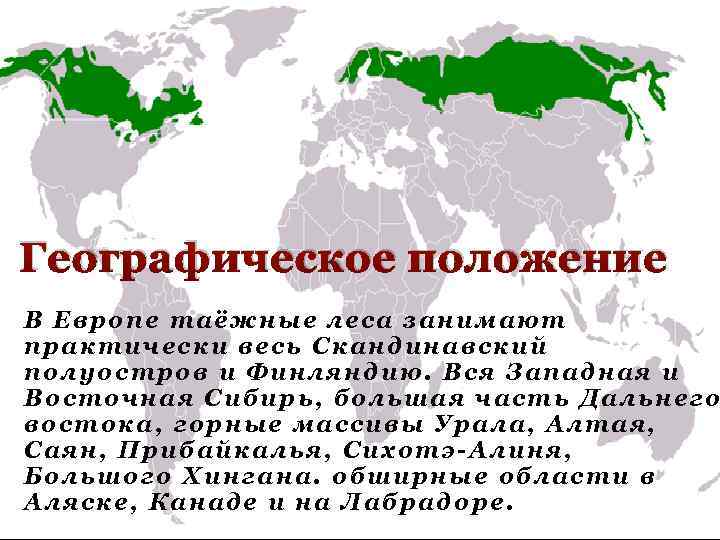 Географическое положение В Европе таёжные леса занимают практически весь Скандинавский полуостров и Финляндию. Вся