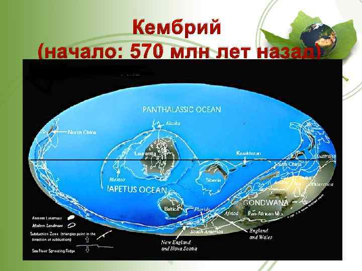 Кембрий (начало: 570 млн лет назад) 