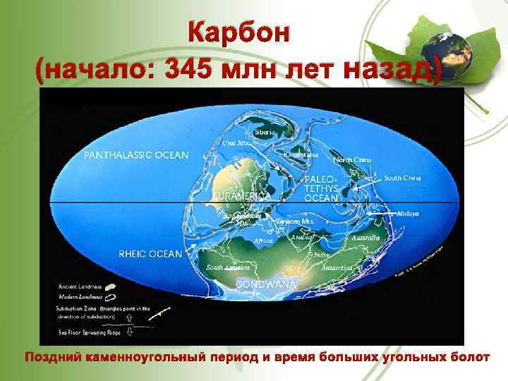 Карбон (начало: 345 млн лет назад) Поздний каменноугольный период и время больших угольных болот