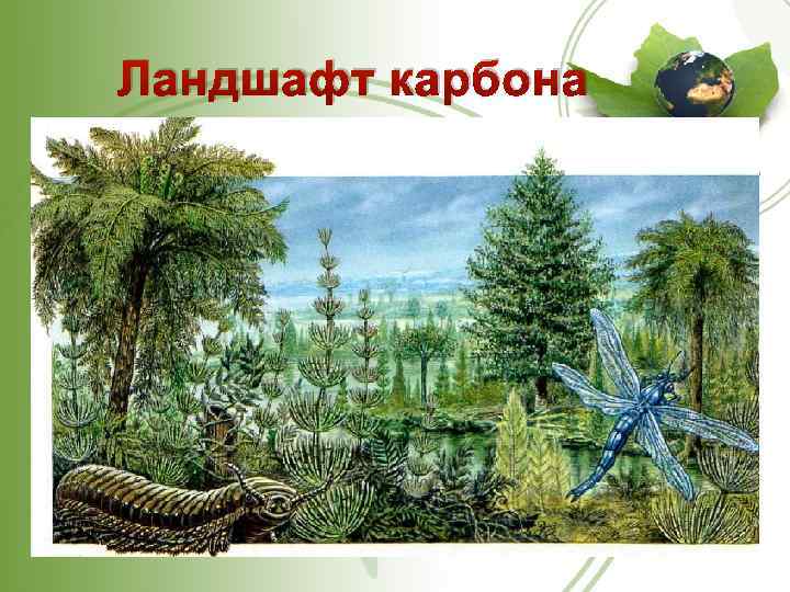 Ландшафт карбона 