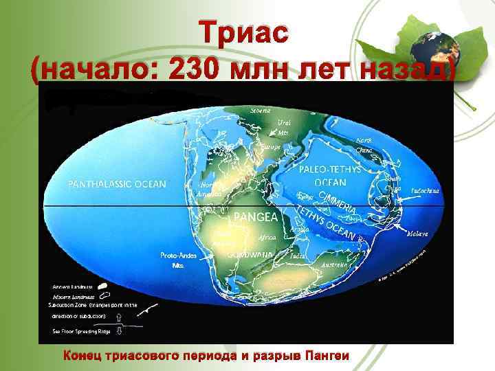 Триас (начало: 230 млн лет назад) Конец триасового периода и разрыв Пангеи 