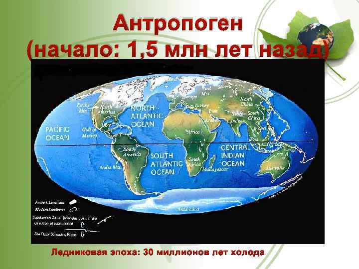 Антропоген (начало: 1, 5 млн лет назад) Ледниковая эпоха: 30 миллионов лет холода 