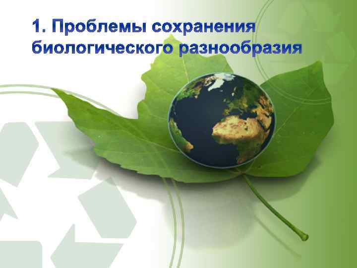 1. Проблемы сохранения биологического разнообразия 