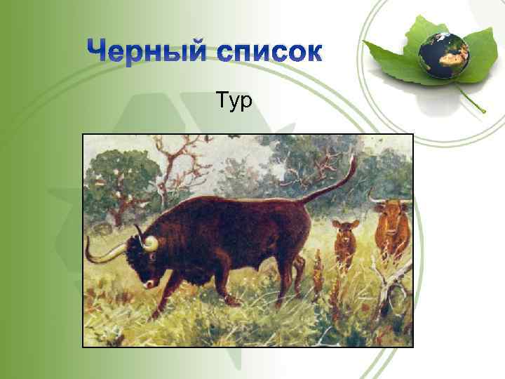 Черный список Тур 