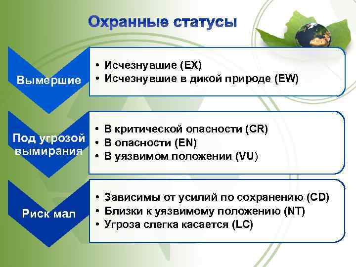 Охранные статусы • Исчезнувшие (EX) Вымершие • Исчезнувшие в дикой природе (EW) • В