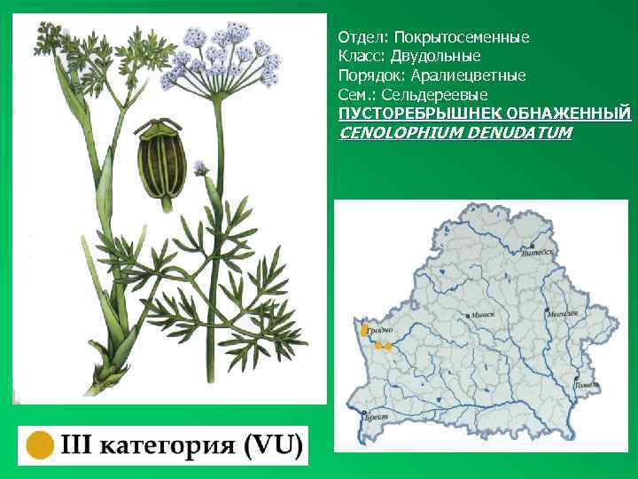 Красная книга рб презентация