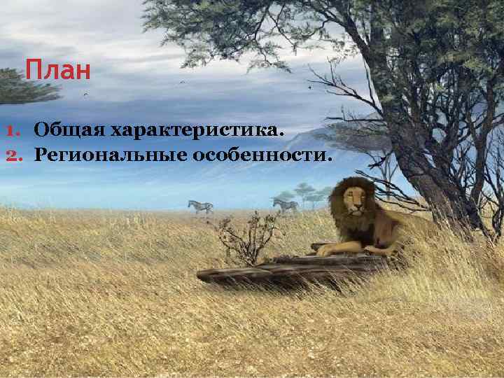 План 1. Общая характеристика. 2. Региональные особенности. 
