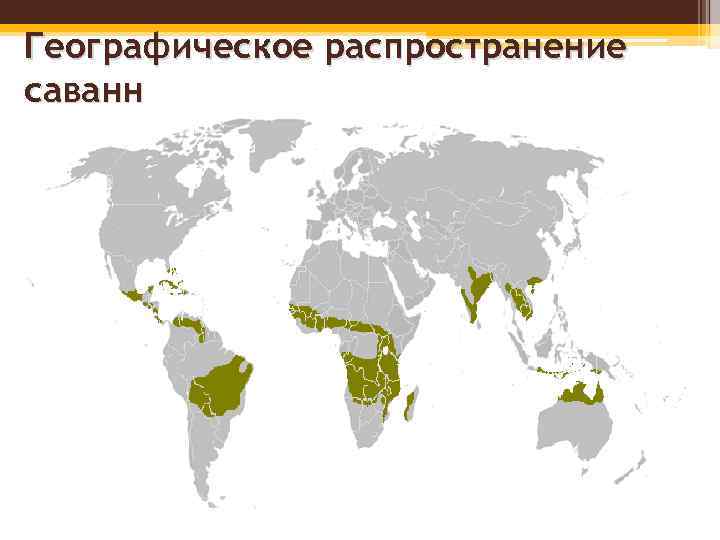 География распространения. Саванны распространение. Географическое положение саванны.