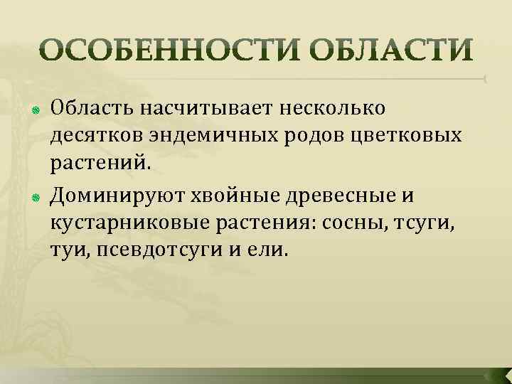  Область насчитывает несколько десятков эндемичных родов цветковых растений. Доминируют хвойные древесные и кустарниковые