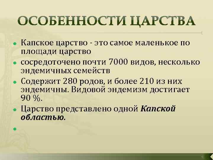  Капское царство это самое маленькое по площади царство сосредоточено почти 7000 видов, несколько