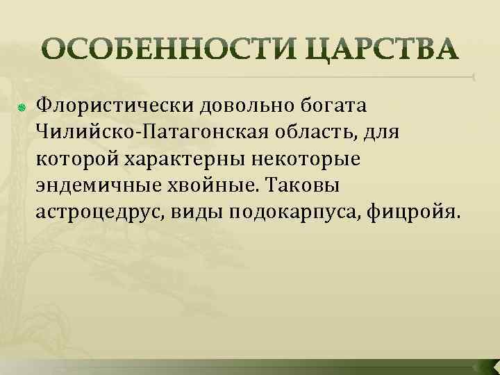  Флористически довольно богата Чилийско Патагонская область, для которой характерны некоторые эндемичные хвойные. Таковы