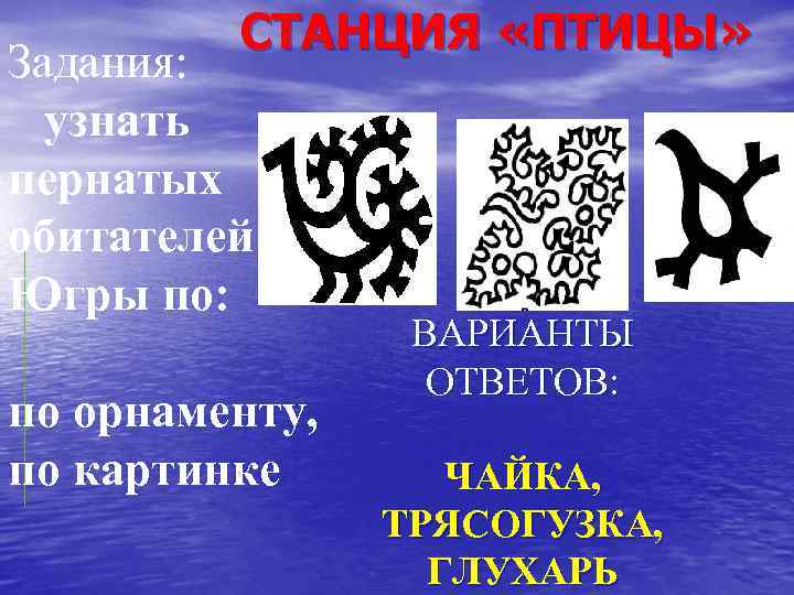 СТАНЦИЯ «ПТИЦЫ» Задания: узнать пернатых обитателей Югры по: по орнаменту, по картинке ВАРИАНТЫ ОТВЕТОВ: