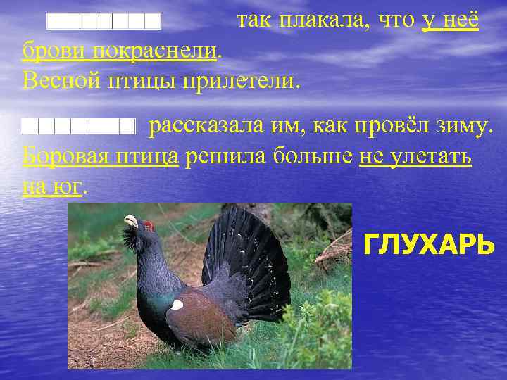 так плакала, что у неё брови покраснели. Весной птицы прилетели. рассказала им, как провёл