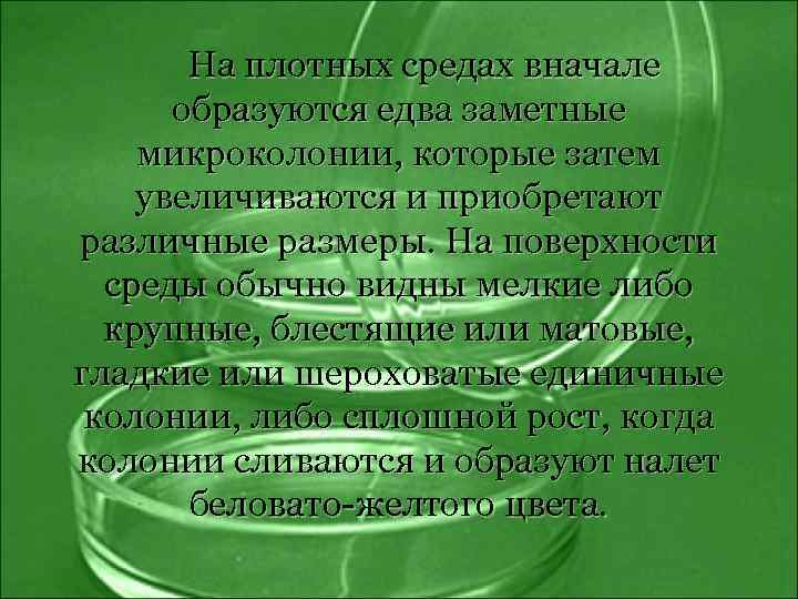 На плотных средах вначале образуются едва заметные микроколонии, которые затем увеличиваются и приобретают различные