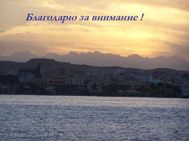 Благодарю за внимание ! 22 