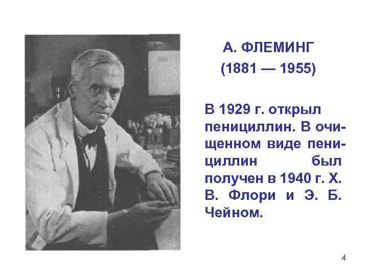 А. ФЛЕМИНГ (1881 — 1955) В 1929 г. открыл пенициллин. В очищенном виде пенициллин