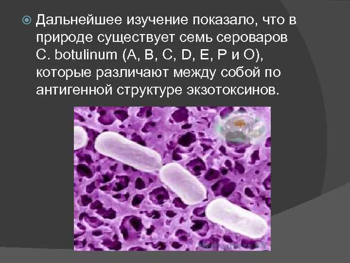  Дальнейшее изучение показало, что в природе существует семь сероваров С. botulinum (А, В,