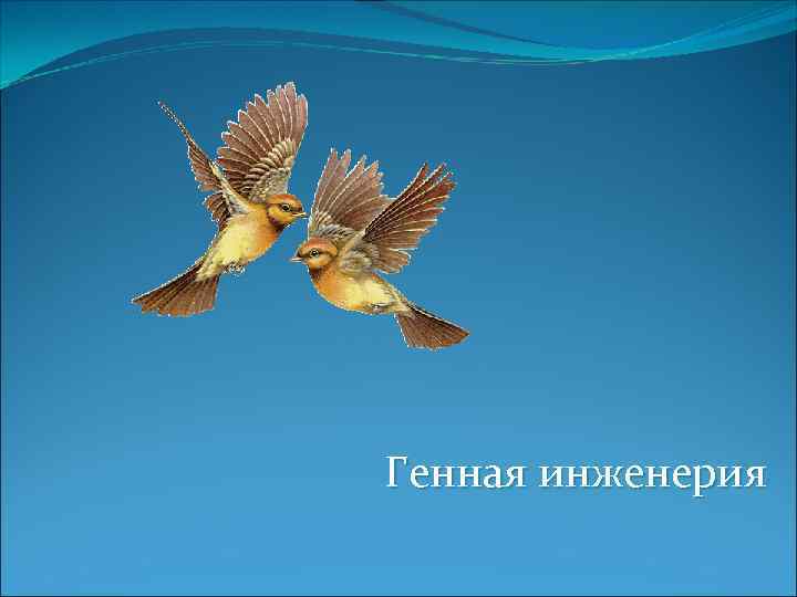 Генная инженерия 