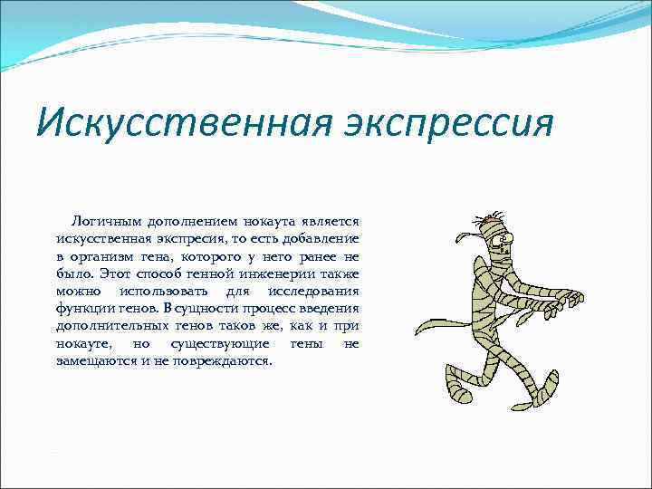 Искусственная экспрессия Логичным дополнением нокаута является искусственная экспресия, то есть добавление в организм гена,