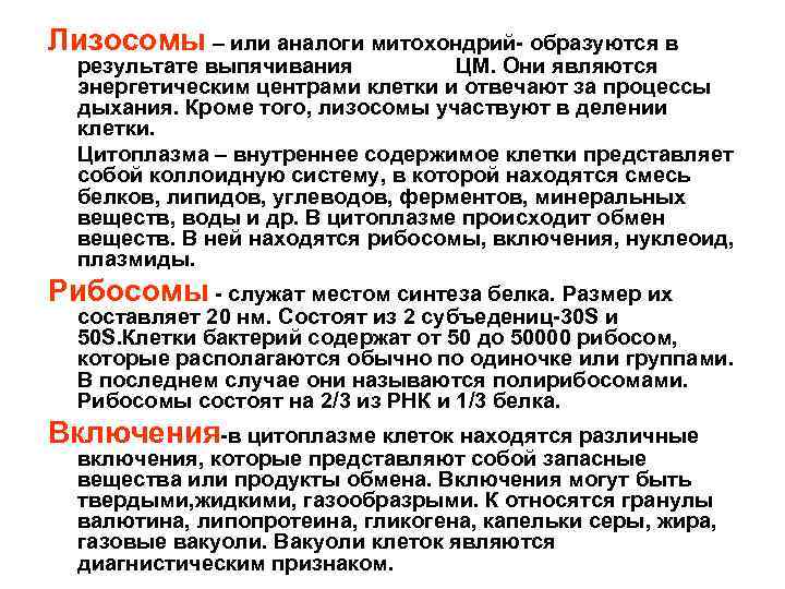 Лизосомы – или аналоги митохондрий- образуются в результате выпячивания ЦМ. Они являются энергетическим центрами