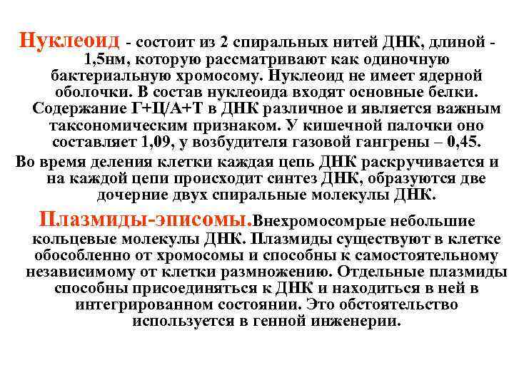 Нуклеоид - состоит из 2 спиральных нитей ДНК, длиной - 1, 5 нм, которую