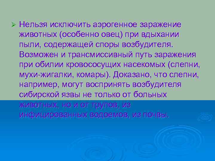 Ø Нельзя исключить аэрогенное заражение животных (особенно овец) при вдыхании пыли, содержащей споры возбудителя.