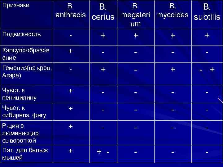 Признаки Подвижность B. B. B. anthracis cerius megateri mycoides subtilis um + + Капсулообразов