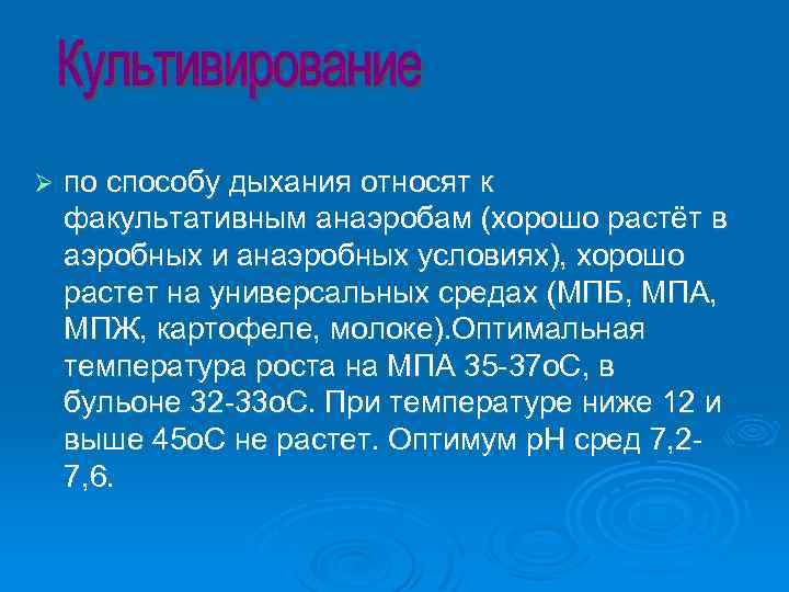 Ø по способу дыхания относят к факультативным анаэробам (хорошо растёт в аэробных и анаэробных