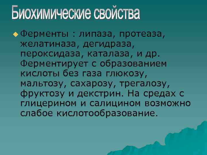 u Ферменты : липаза, протеаза, желатиназа, дегидраза, пероксидаза, каталаза, и др. Ферментирует с образованием