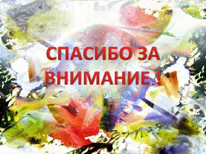 СПАСИБО ЗА ВНИМАНИЕ ! 