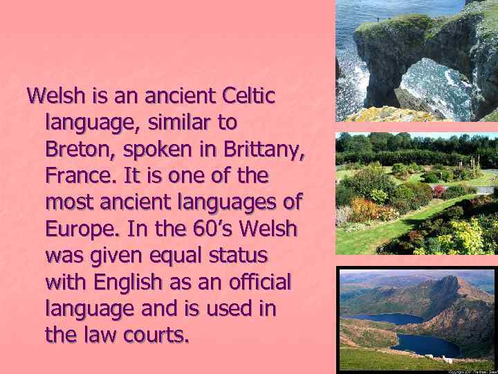 Welsh is an ancient Celtic language, similar to Breton, spoken in Brittany, France. It