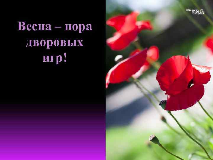 Весна – пора дворовых игр! 