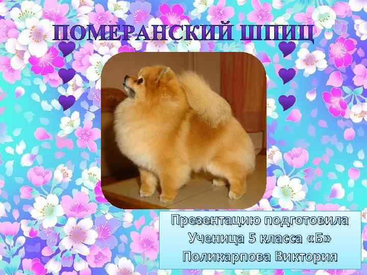 Презентацию подготовила Ученица 5 класса «Б» Поликарпова Виктория 