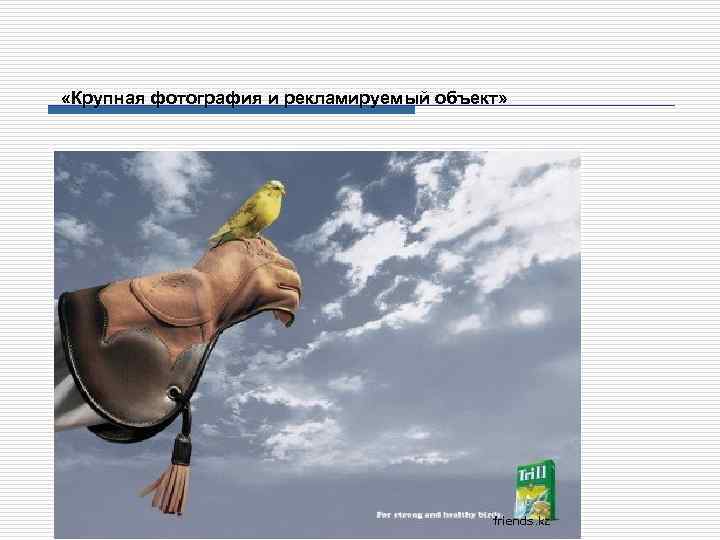  «Крупная фотография и рекламируемый объект» 