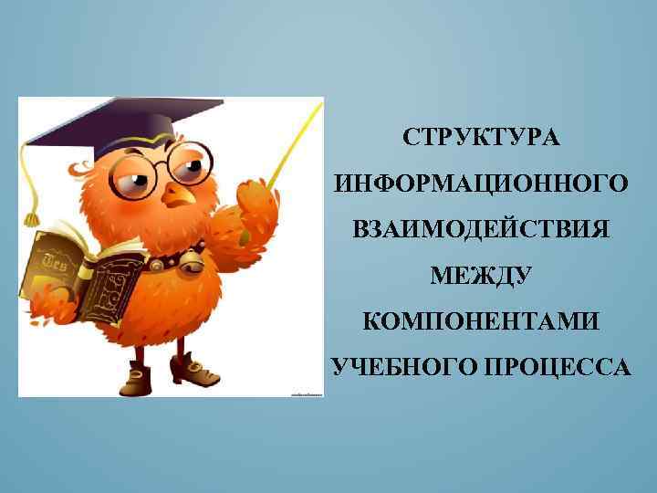 СТРУКТУРА ИНФОРМАЦИОННОГО ВЗАИМОДЕЙСТВИЯ МЕЖДУ КОМПОНЕНТАМИ УЧЕБНОГО ПРОЦЕССА 
