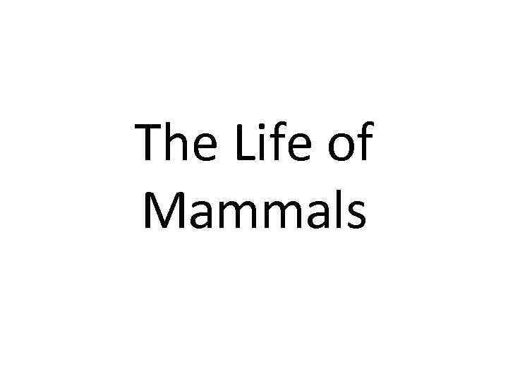 The Life of Mammals 