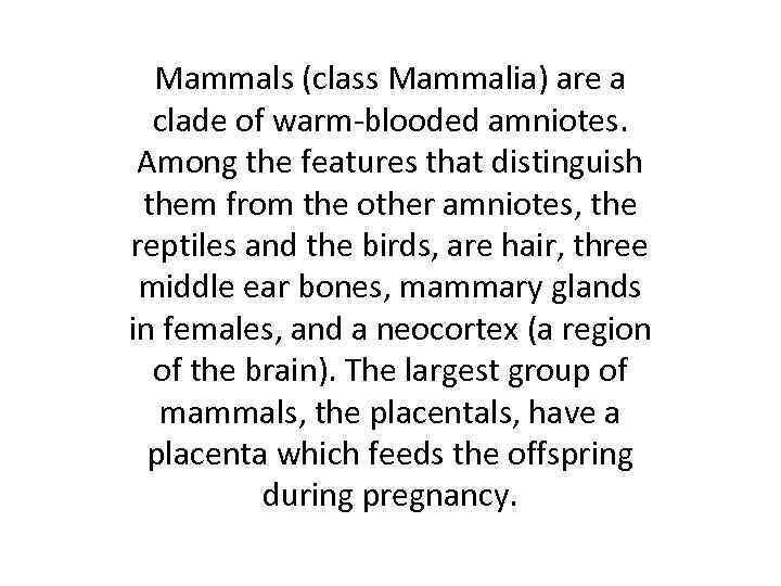 Mammals (class Mammalia) are a clade of warm-blooded amniotes. Among the features that distinguish