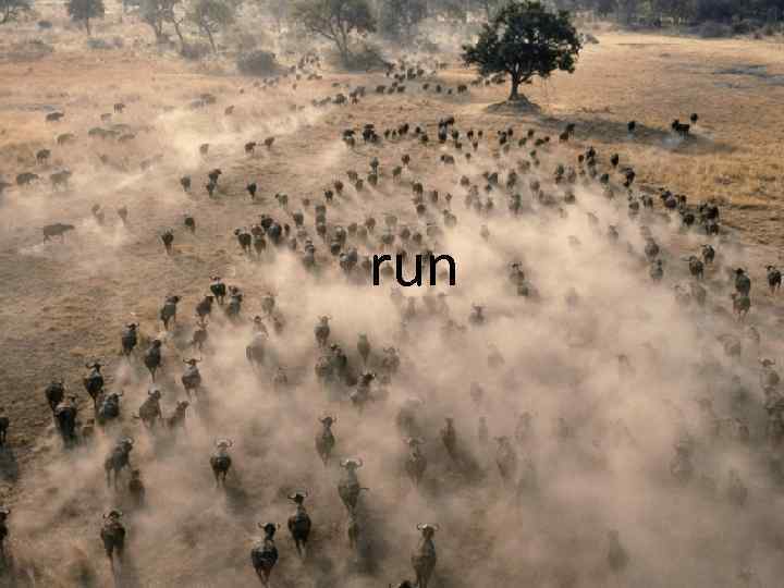 run 