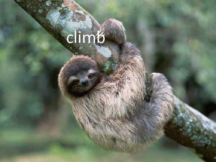 climb 