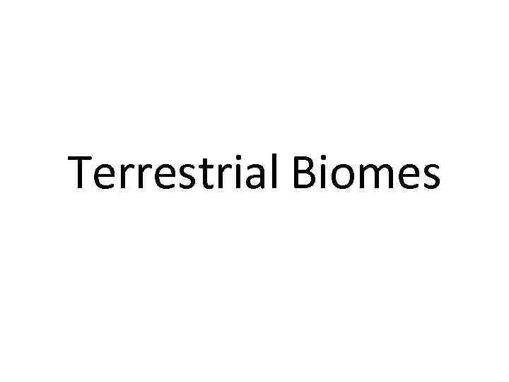 Terrestrial Biomes 