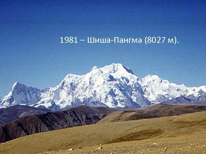 1981 – Шиша-Пангма (8027 м). 