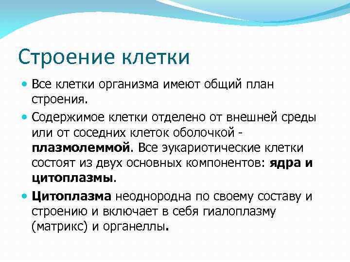 Строение клетки Все клетки организма имеют общий план строения. Содержимое клетки отделено от внешней